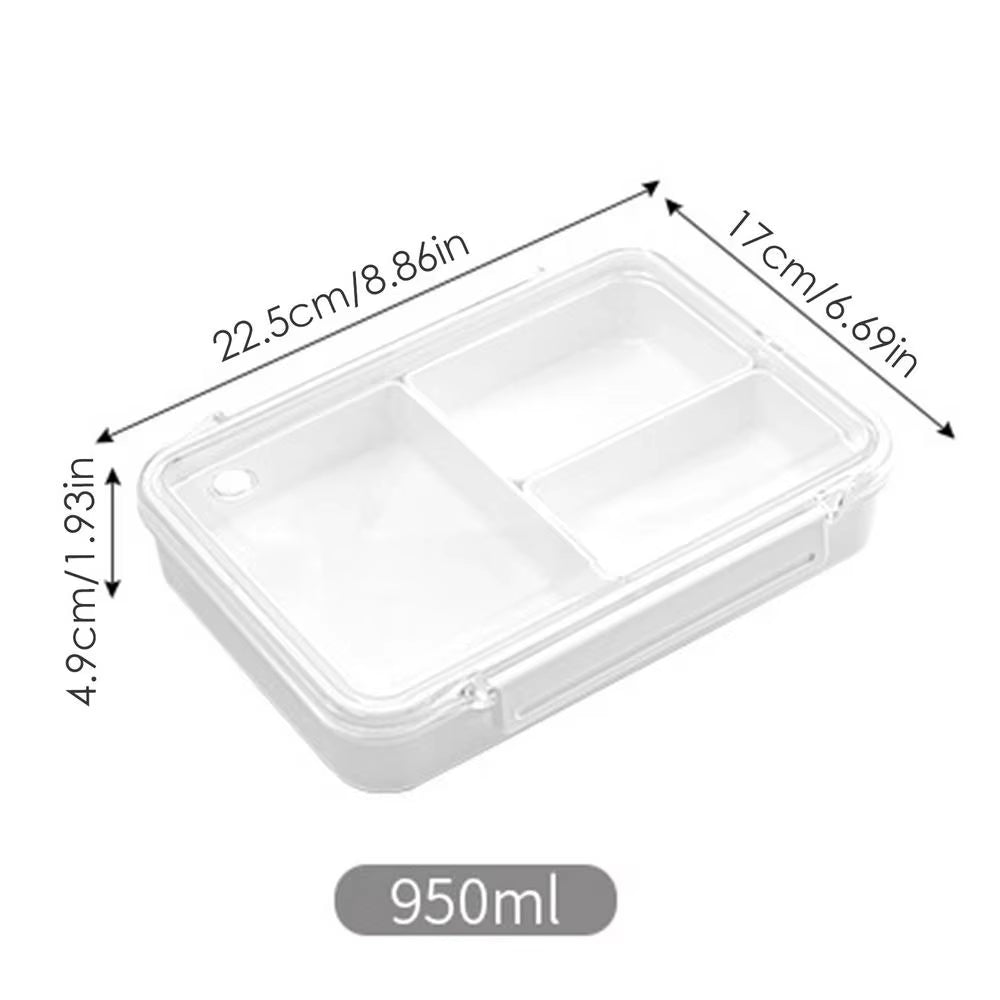 Lunchbox Storage Container