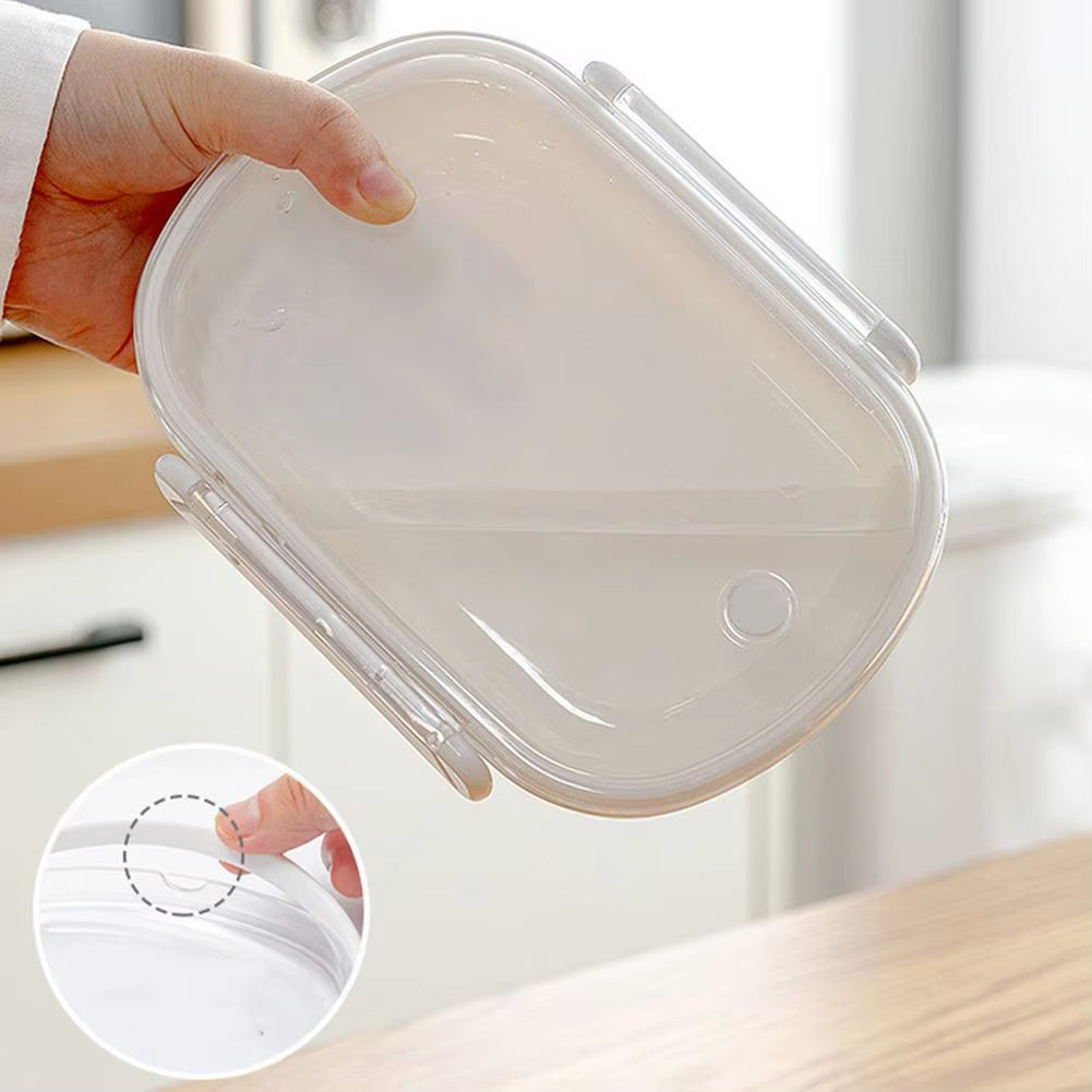 Lunchbox Storage Container