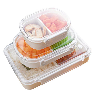 Lunchbox Storage Container